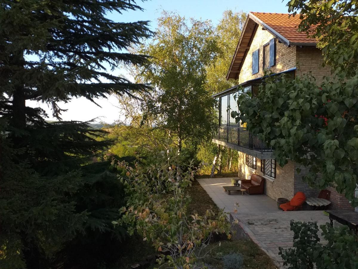 Lodging Vidmar Sremski Karlovci Exteriör bild