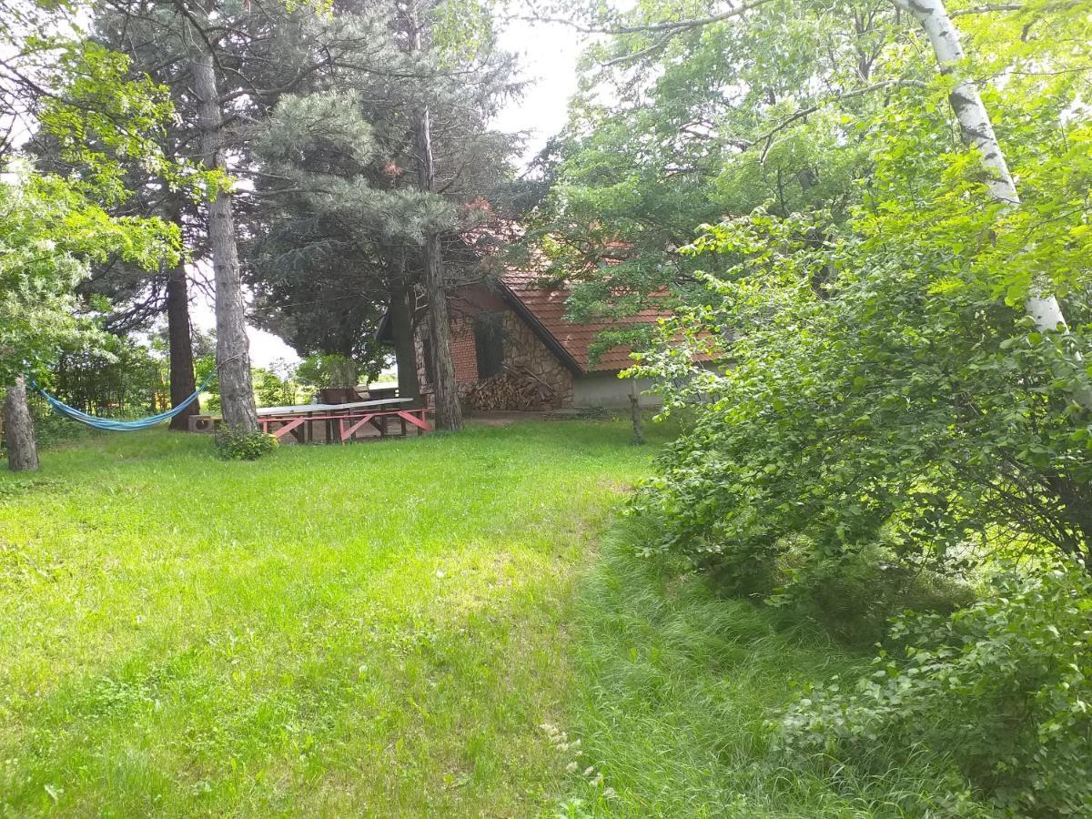 Lodging Vidmar Sremski Karlovci Exteriör bild