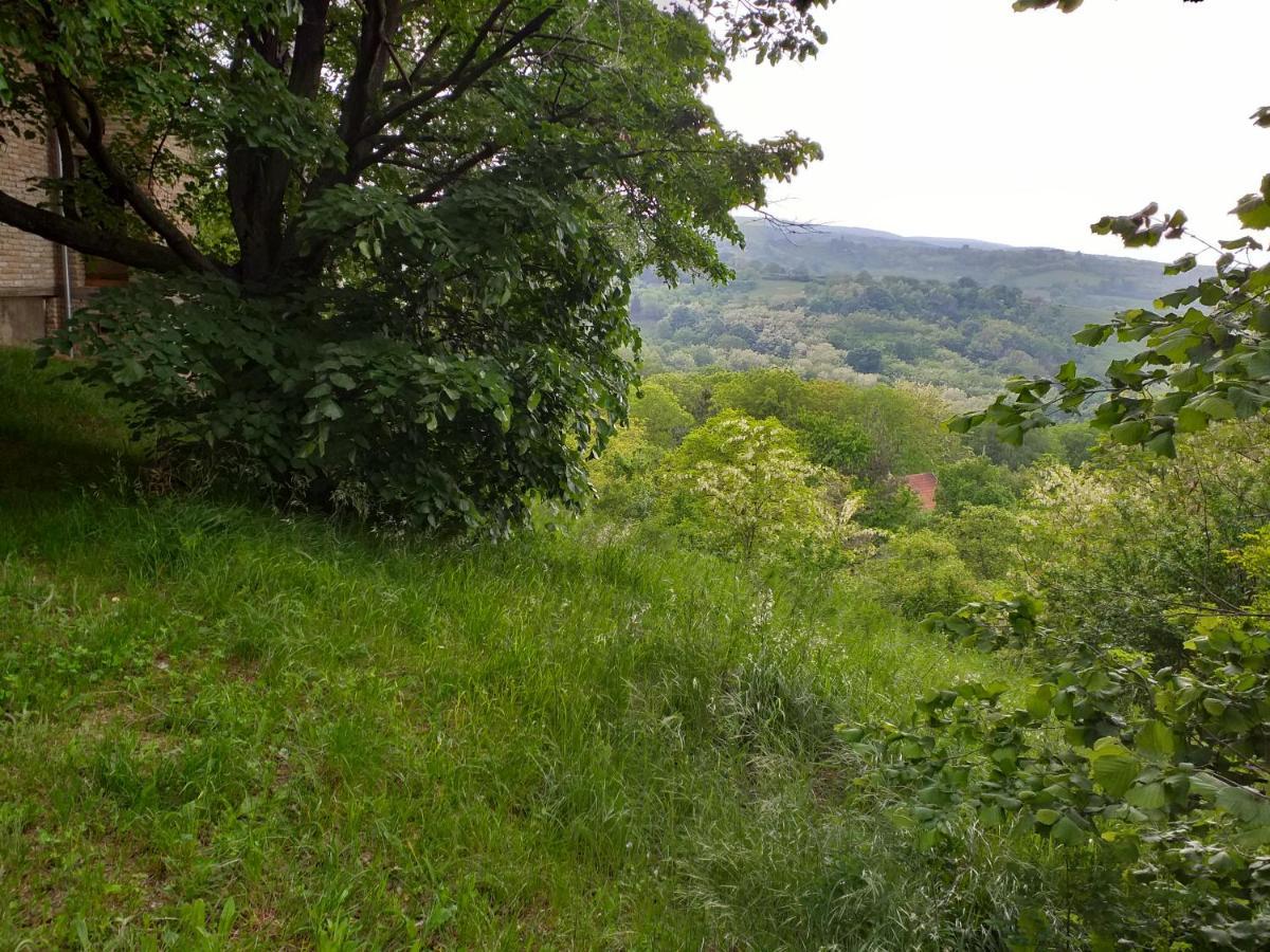 Lodging Vidmar Sremski Karlovci Exteriör bild