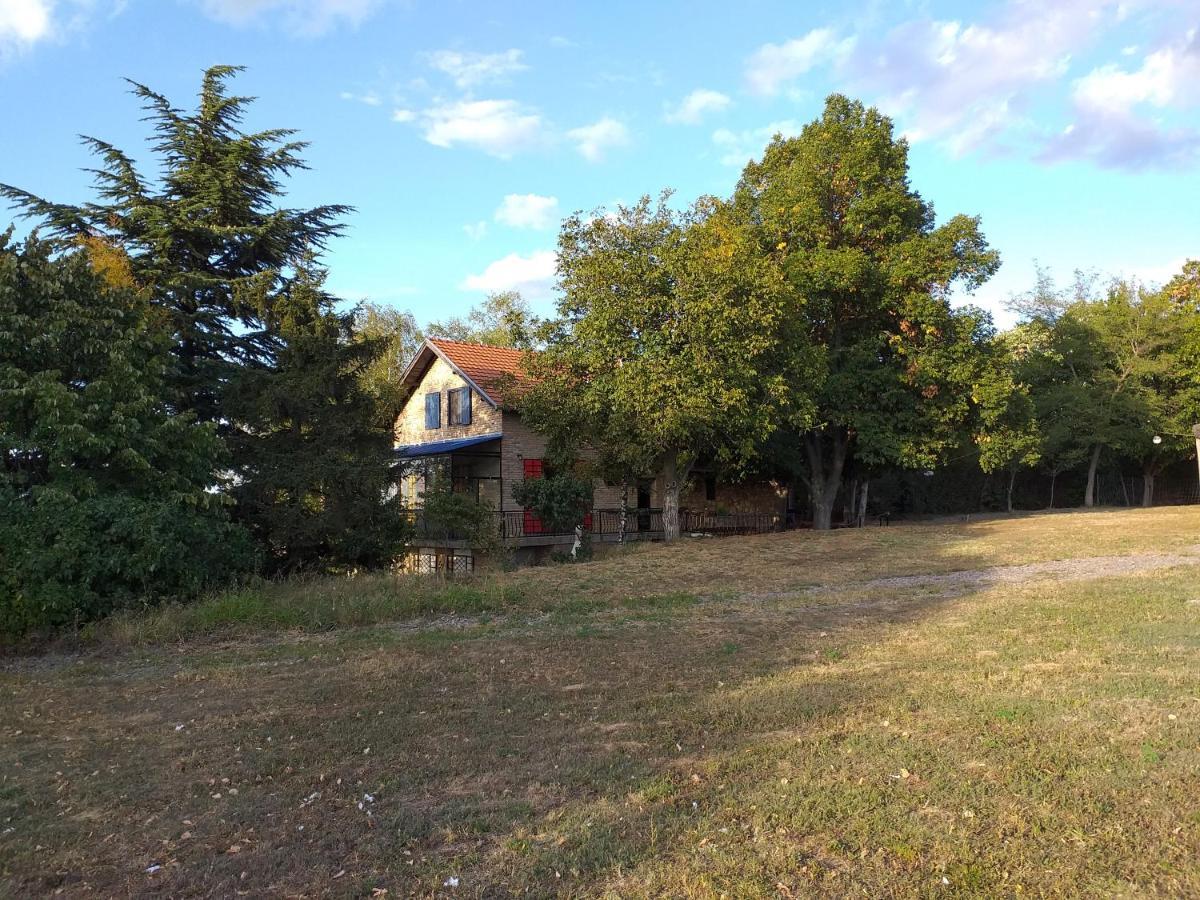 Lodging Vidmar Sremski Karlovci Exteriör bild