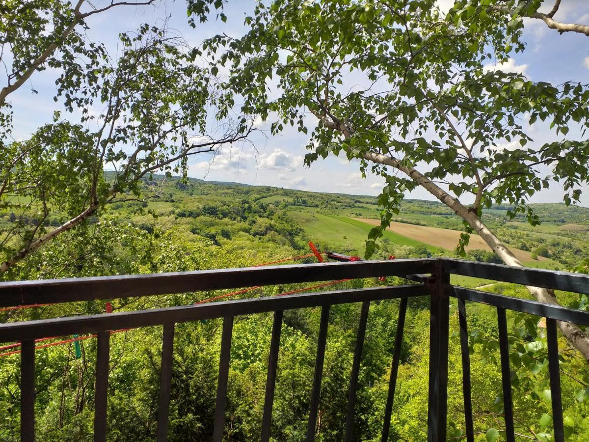 Lodging Vidmar Sremski Karlovci Exteriör bild