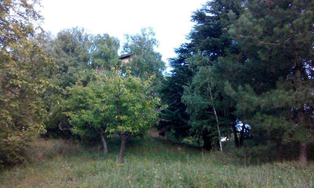 Lodging Vidmar Sremski Karlovci Rum bild