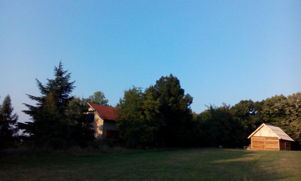 Lodging Vidmar Sremski Karlovci Rum bild