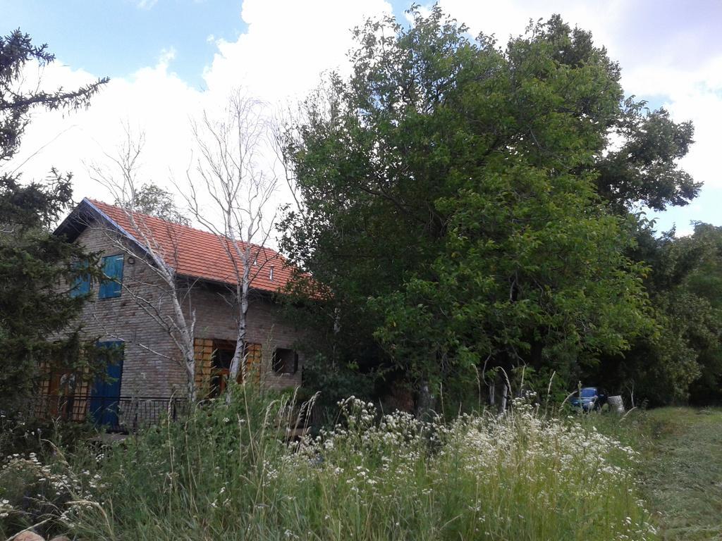 Lodging Vidmar Sremski Karlovci Exteriör bild