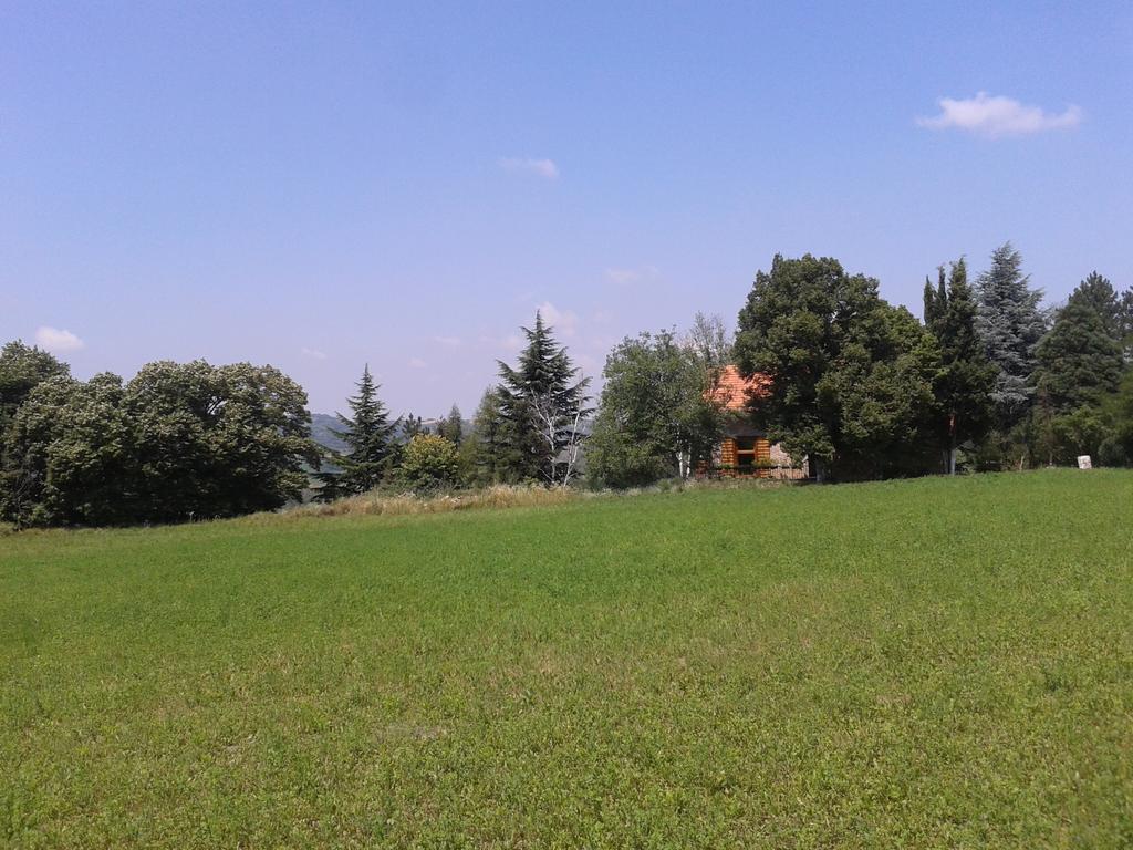Lodging Vidmar Sremski Karlovci Rum bild