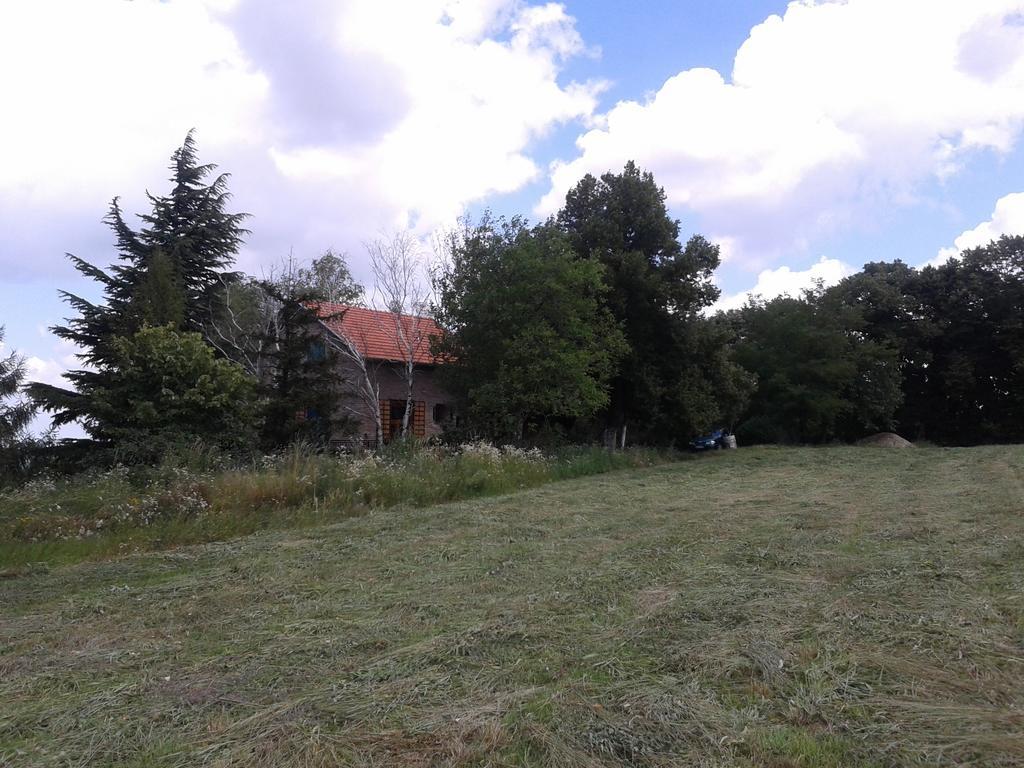 Lodging Vidmar Sremski Karlovci Exteriör bild