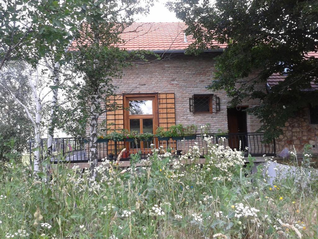 Lodging Vidmar Sremski Karlovci Exteriör bild