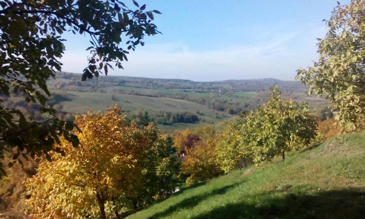 Lodging Vidmar Sremski Karlovci Exteriör bild