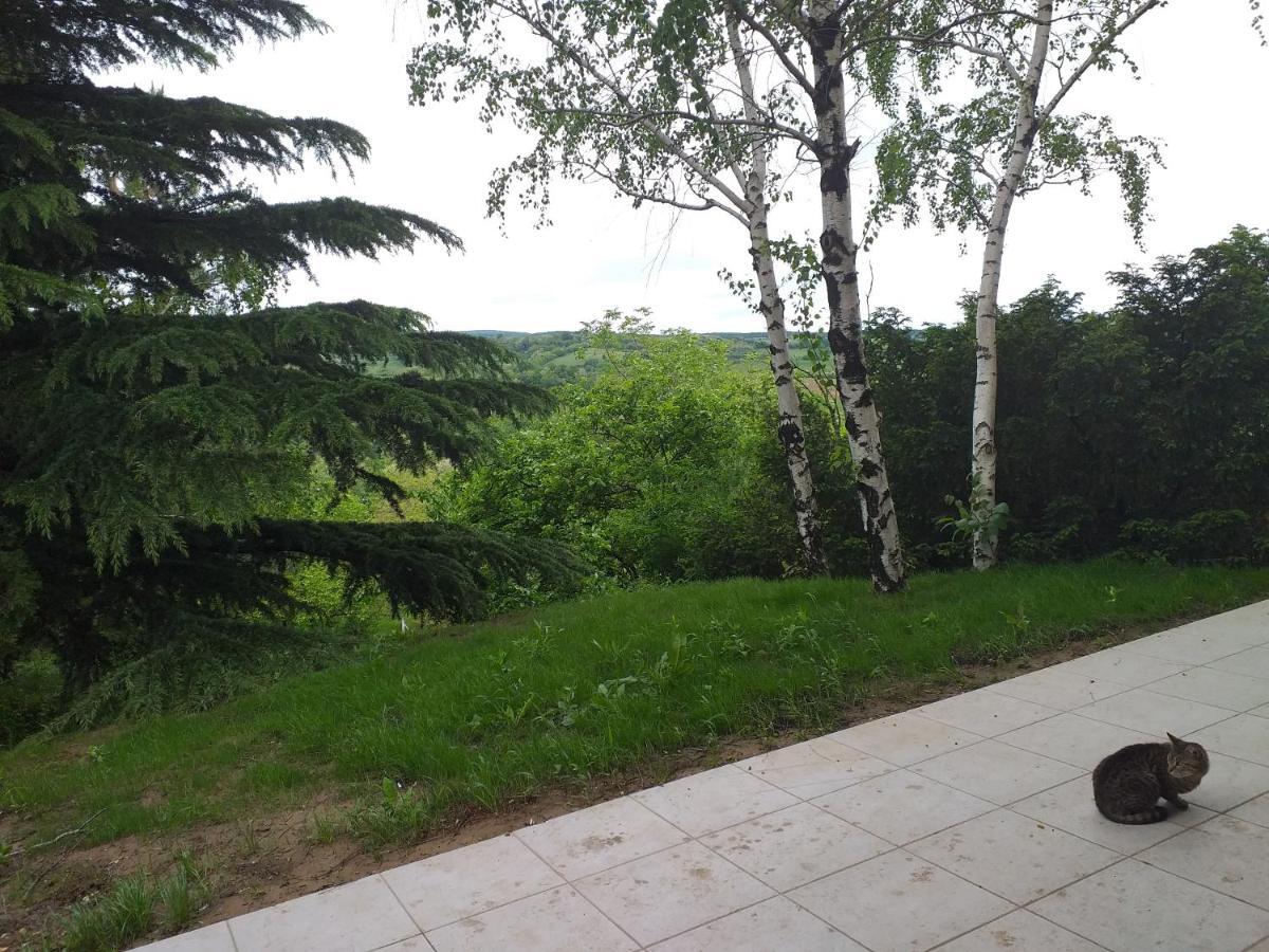 Lodging Vidmar Sremski Karlovci Exteriör bild
